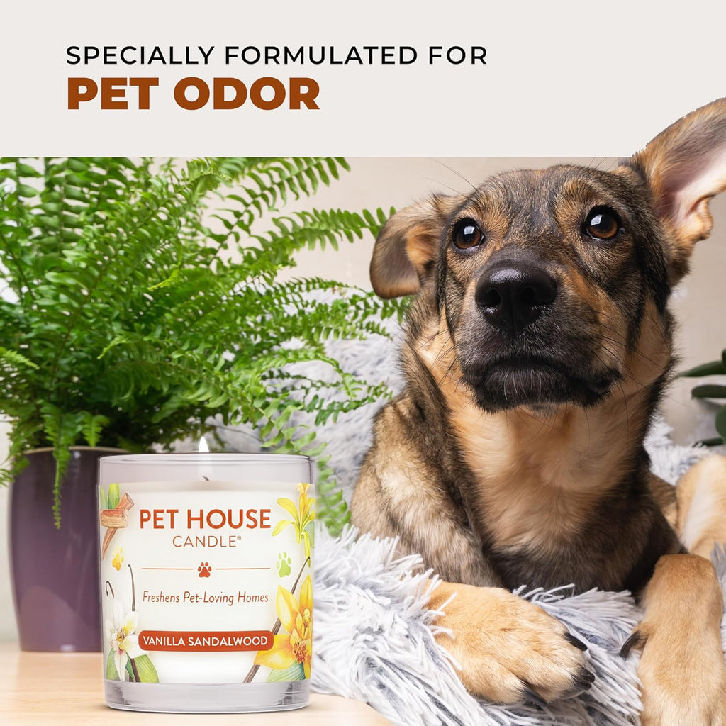 Pet House Fall Candle (2-Pack) — Eliminates Pet Odors, Long Burn