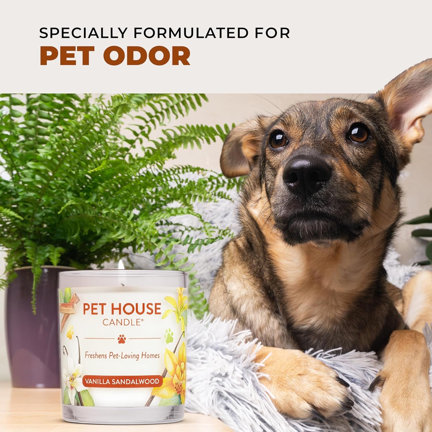 Pet House Fall Candle (2-Pack) — Eliminates Pet Odors, Long Burn