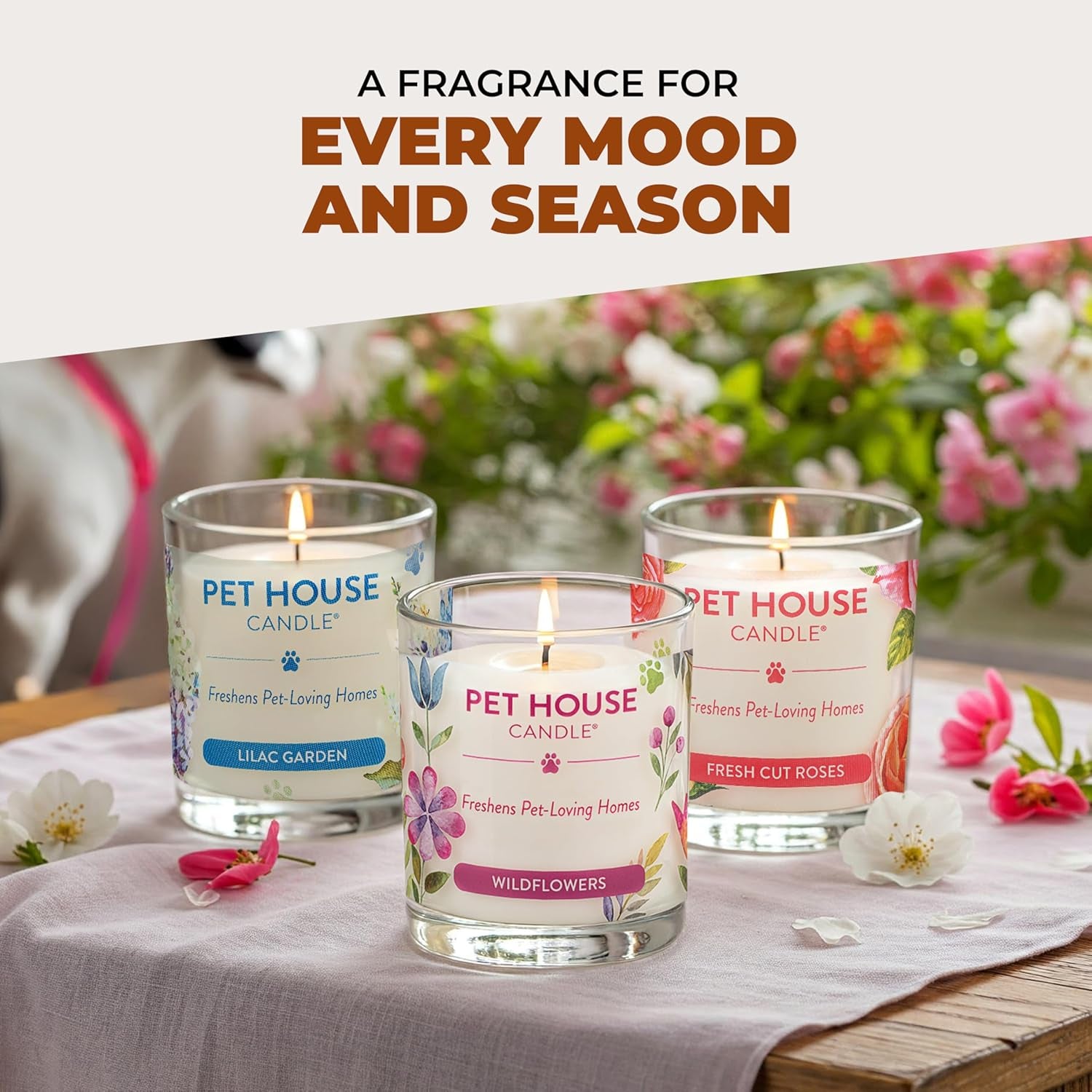 Pet House Fall Candle (2-Pack) — Eliminates Pet Odors, Long Burn