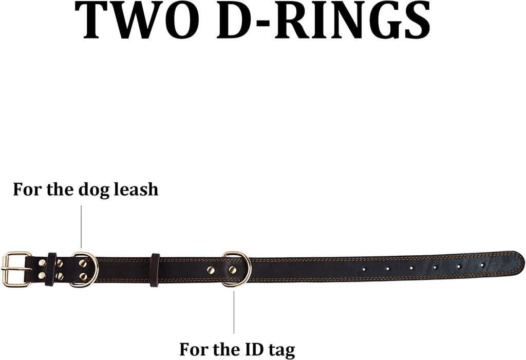 Classic Brown Leather Collar with Polished Buckle