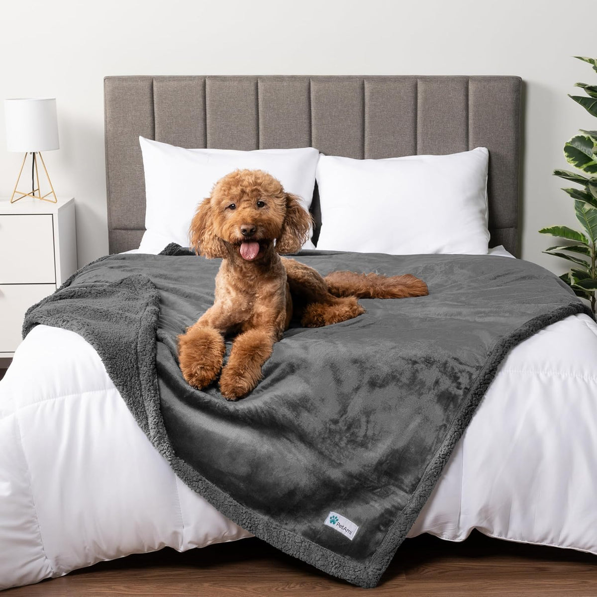 Waterproof Dog Blanket — Cozy on Top, Leak-Proof Underneath