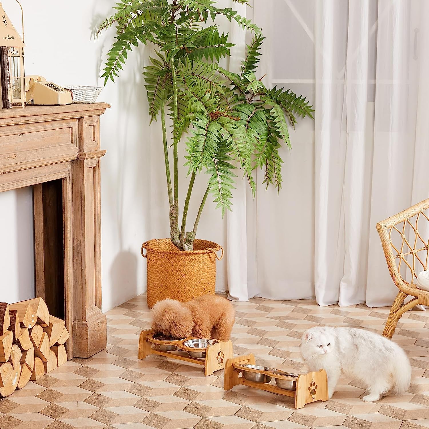 Elevated Dog Bowls — Raised Feeder for Better Posture & Digestion