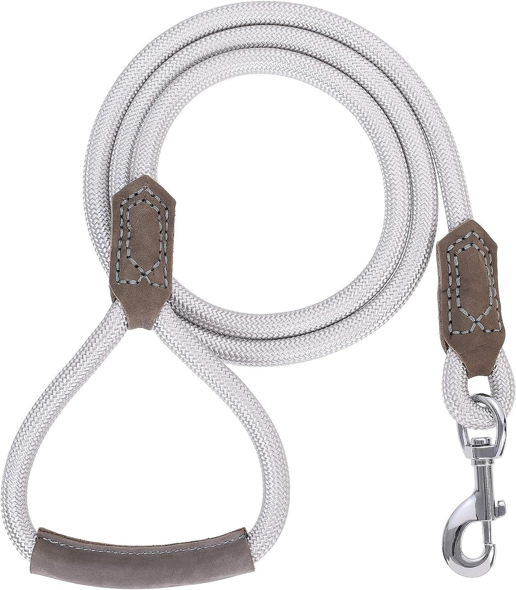 Premium Leather Dog Leash with Strong Rope and Zinc Alloy Clasp - 4/5/6 Feet Lengths for Small to Large Dogs (Silver, 60 Inch, Single Pack)