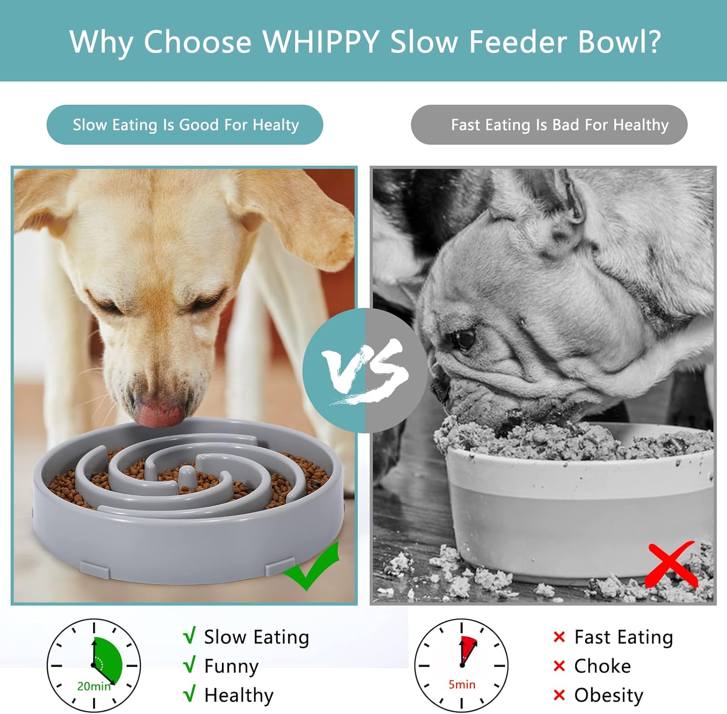 Slow Feeder Dog Bowl — Stops Gulping, Aids Digestion, Prevents Regurgitation