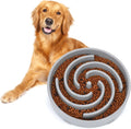 Slow Feeder Dog Bowl — Stops Gulping, Aids Digestion, Prevents Regurgitation