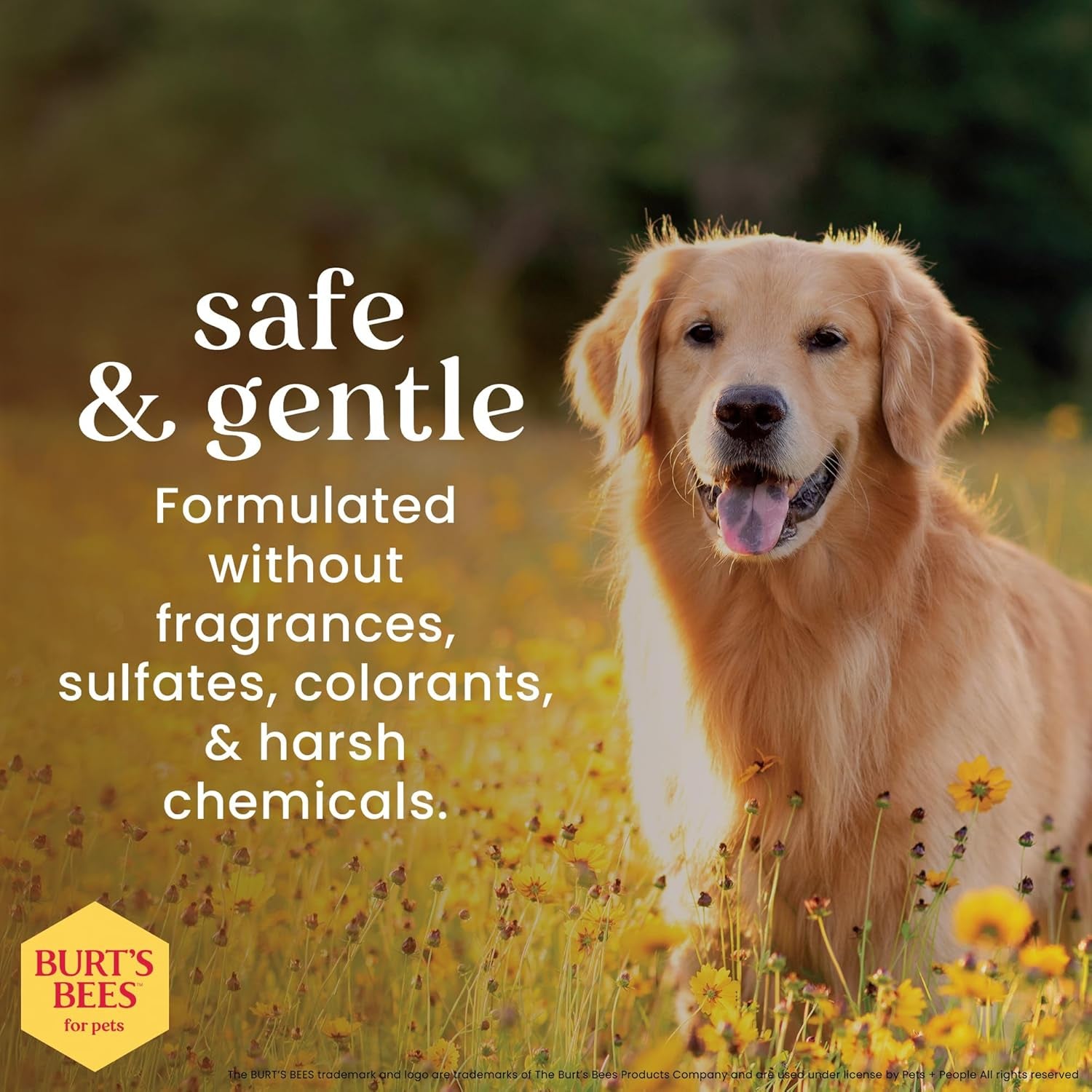 Hypoallergenic Dog Grooming Wipes (150 ct) — Paws, Face & Body