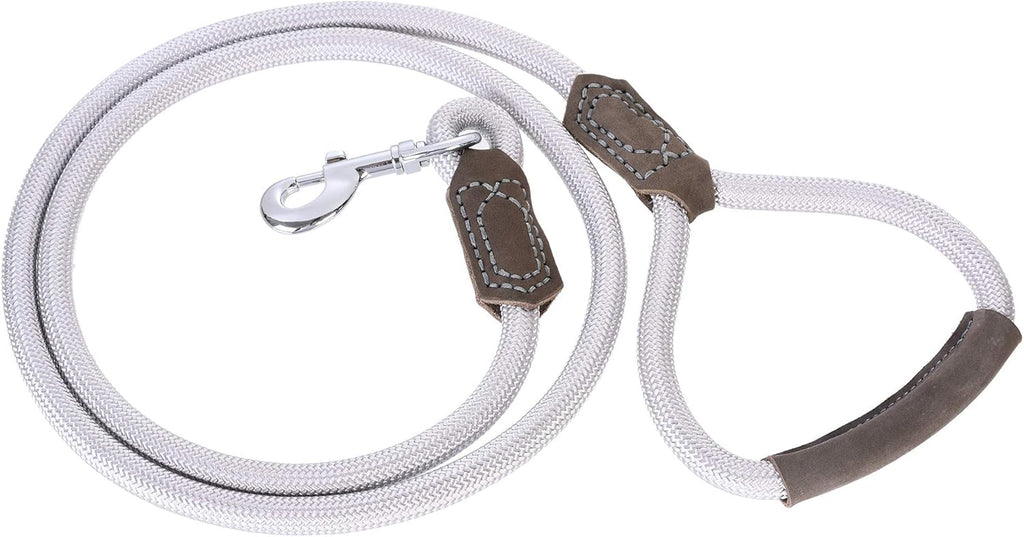 Premium Leather Dog Leash with Strong Rope and Zinc Alloy Clasp - 4/5/6 Feet Lengths for Small to Large Dogs (Silver, 60 Inch, Single Pack)