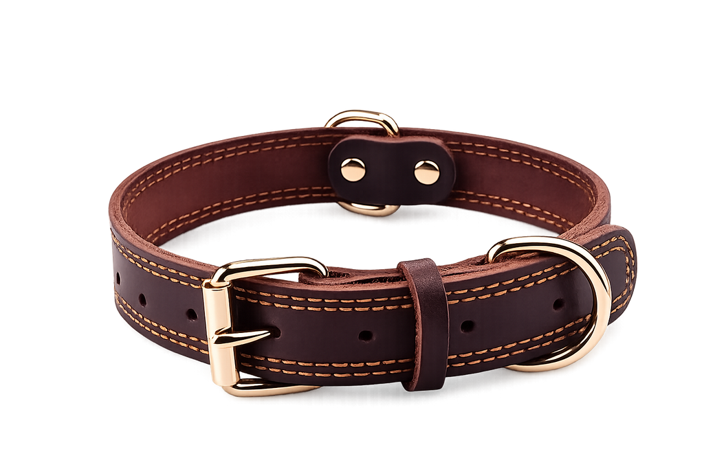 Classic Brown Leather Collar with Polished Buckle