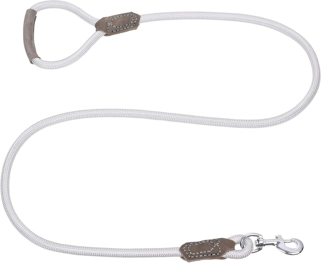 Premium Leather Dog Leash with Strong Rope and Zinc Alloy Clasp - 4/5/6 Feet Lengths for Small to Large Dogs (Silver, 60 Inch, Single Pack)