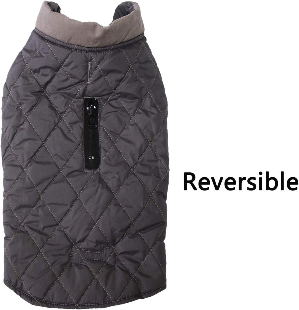 Two-Tone Reversible Dog Coat — Cozy & Handsome
