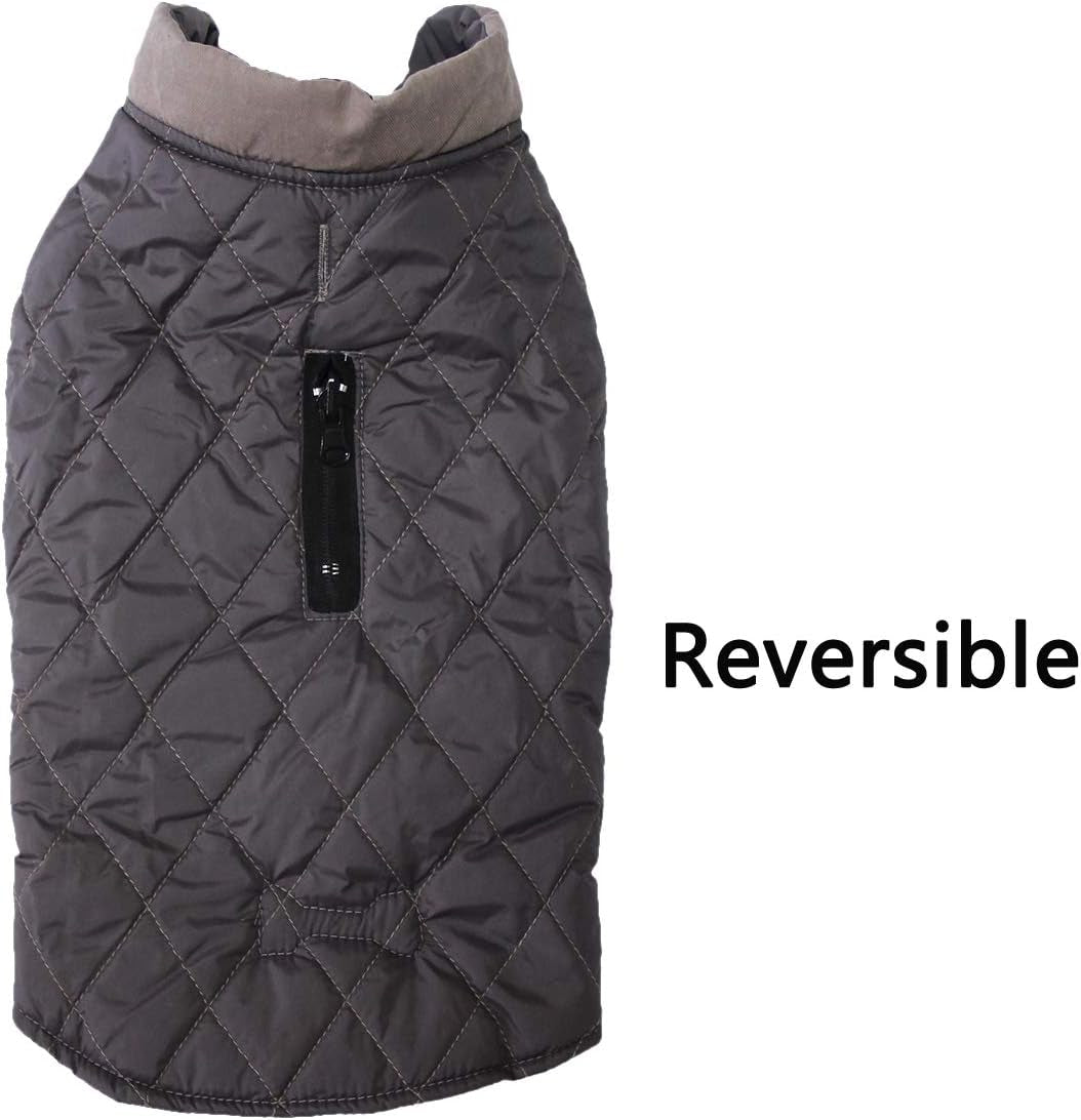 Two-Tone Reversible Dog Coat — Cozy & Handsome