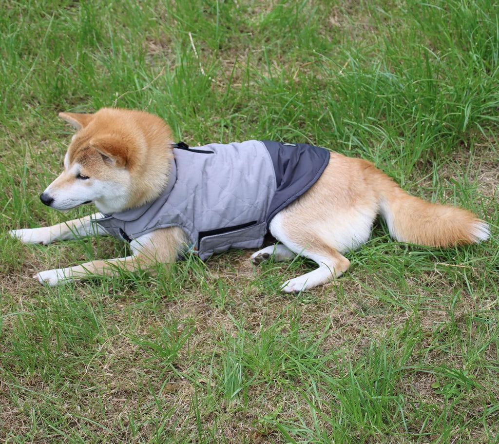 Two-Tone Reversible Dog Coat — Cozy & Handsome