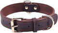 Classic Brown Leather Collar with Polished Buckle