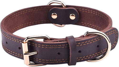 Classic Brown Leather Collar with Polished Buckle