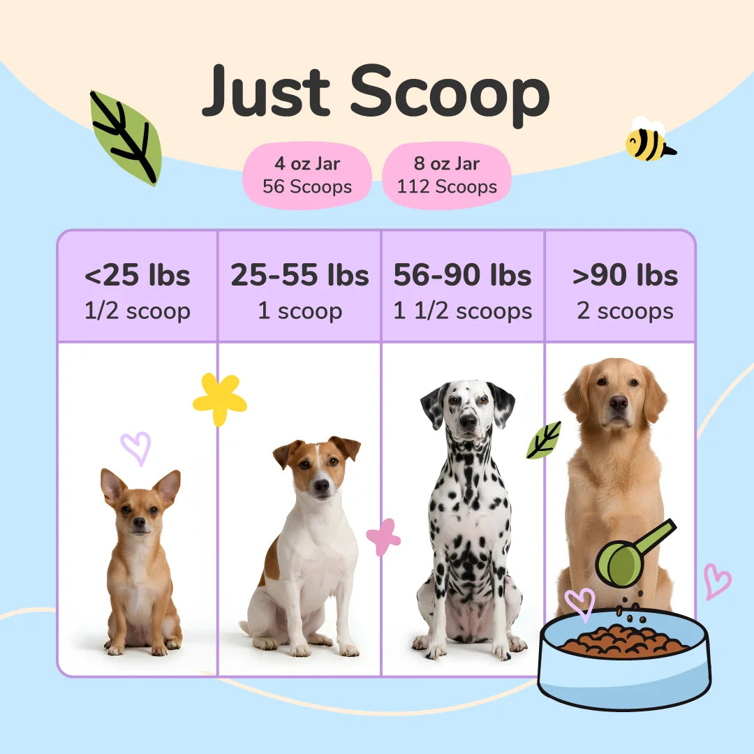 Organic Hip & Joint Supplement for Dogs & Cats — Mobility Support 4 Oz