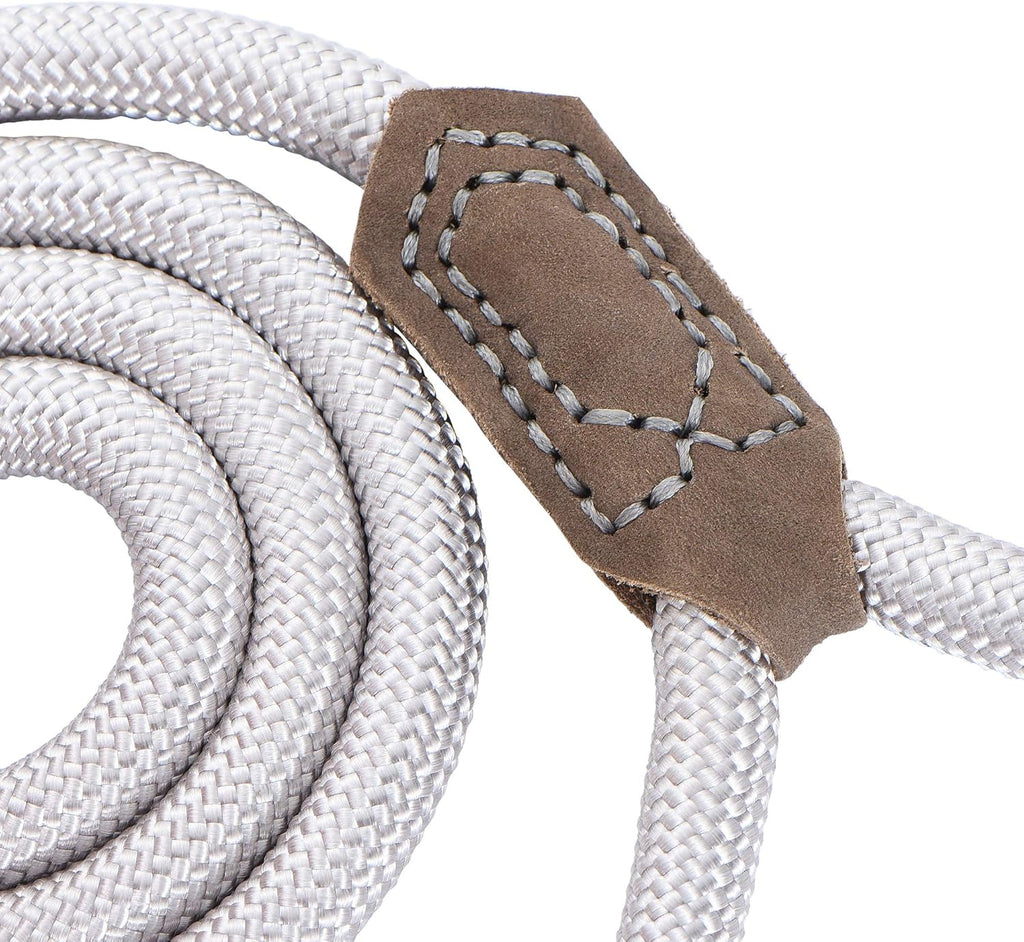 Premium Leather Dog Leash with Strong Rope and Zinc Alloy Clasp - 4/5/6 Feet Lengths for Small to Large Dogs (Silver, 60 Inch, Single Pack)
