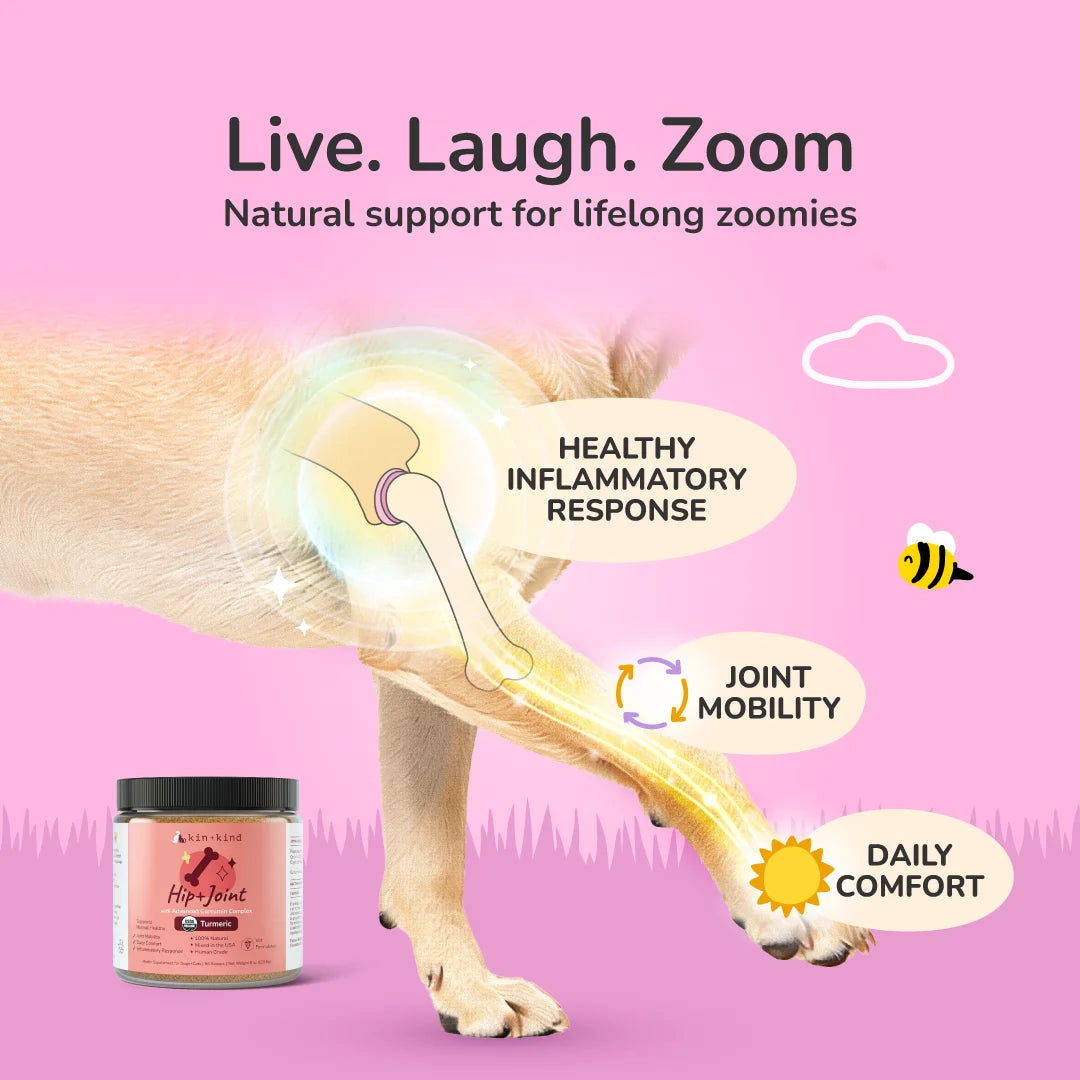 Organic Hip & Joint Supplement for Dogs & Cats — Mobility Support 4 Oz